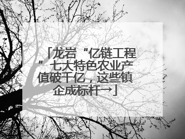 龙岩“亿链工程”七大特色农业产值破千亿，这些镇企成标杆→
