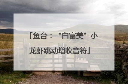 鱼台：“白富美”小龙虾跳动增收音符