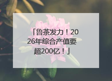 鲁茶发力！2026年综合产值要超200亿！