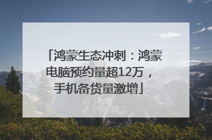 鸿蒙生态冲刺：鸿蒙电脑预约量超12万，手机备货量激增