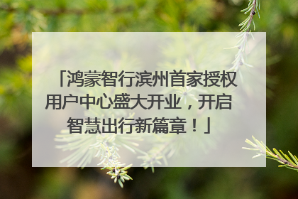 鸿蒙智行滨州首家授权用户中心盛大开业，开启智慧出行新篇章！