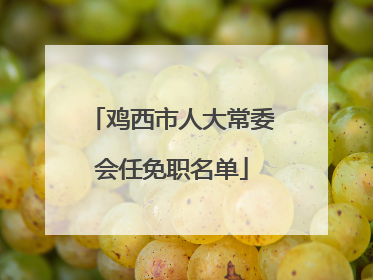 鸡西市人大常委会任免职名单