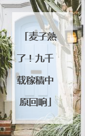 麦子熟了！九千载稼穑中原回响