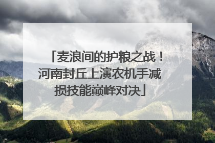 麦浪间的护粮之战！河南封丘上演农机手减损技能巅峰对决