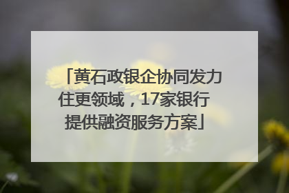 黄石政银企协同发力住更领域，17家银行提供融资服务方案