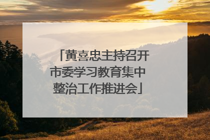 黄喜忠主持召开市委学习教育集中整治工作推进会