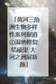 黄河三角洲生物多样性系列报道①湿地修复结硕果 大河之洲展新颜