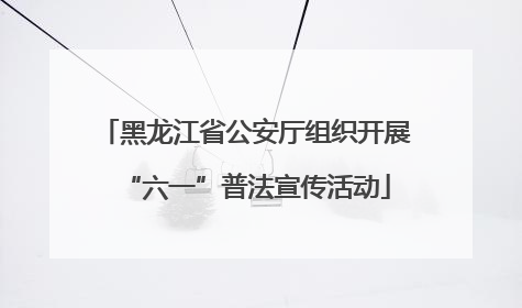 黑龙江省公安厅组织开展“六一”普法宣传活动