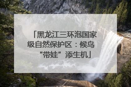 黑龙江三环泡国家级自然保护区：候鸟“带娃”添生机