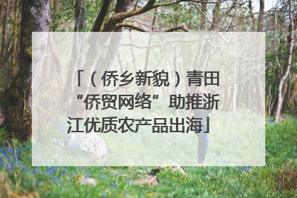 （侨乡新貌）青田“侨贸网络”助推浙江优质农产品出海