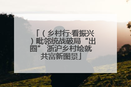 （乡村行·看振兴）毗邻统战破局“出圈” 浙沪乡村绘就共富新图景