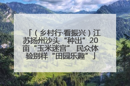（乡村行·看振兴）江苏扬州沙头“种出”20亩“玉米迷宫” 民众体验别样“田园乐趣”