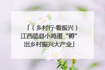 （乡村行·看振兴）江西赣县小鸡蛋“孵”出乡村振兴大产业