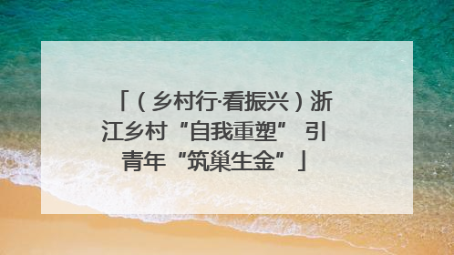 （乡村行·看振兴）浙江乡村“自我重塑” 引青年“筑巢生金”