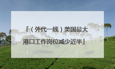 （外代一线）美国最大港口工作岗位减少近半