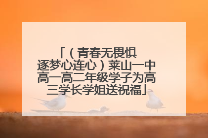 （青春无畏惧   逐梦心连心）莱山一中高一高二年级学子为高三学长学姐送祝福