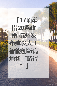 17项举措20条政策 杭州发布建设人工智能创新高地新“路径”