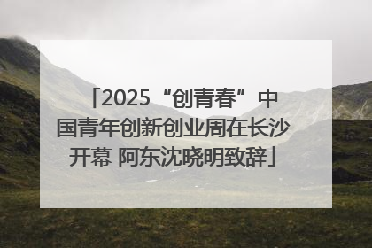 2025“创青春”中国青年创新创业周在长沙开幕 阿东沈晓明致辞