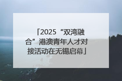 2025“双湾融合”港澳青年人才对接活动在无锡启幕