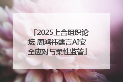 2025上合组织论坛 周鸿祎建言AI安全应对与柔性监管