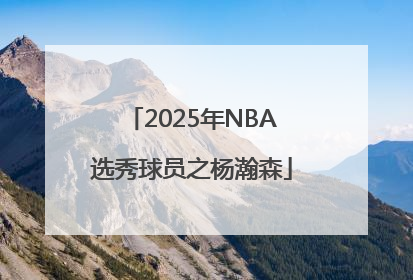 2025年NBA选秀球员之杨瀚森