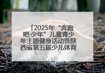 2025年“奔跑吧·少年”儿童青少年主题健身活动暨陕西省第五届少儿体育嘉年华活动启动