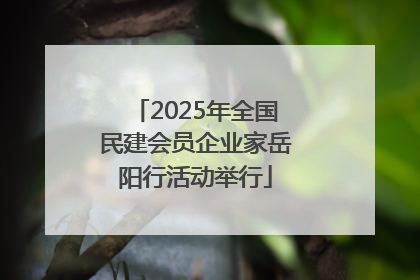 2025年全国民建会员企业家岳阳行活动举行