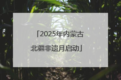 2025年内蒙古北疆非遗月启动