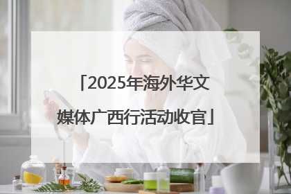 2025年海外华文媒体广西行活动收官