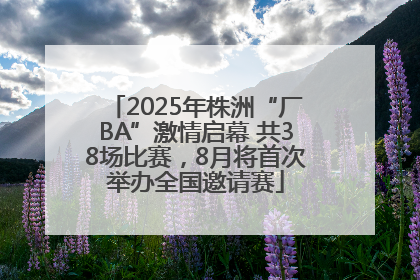 2025年株洲“厂BA”激情启幕 共38场比赛，8月将首次举办全国邀请赛