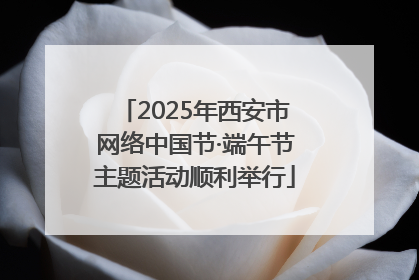 2025年西安市网络中国节·端午节主题活动顺利举行