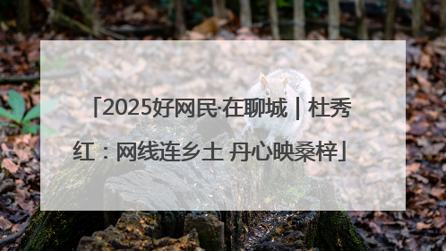 2025好网民·在聊城｜杜秀红：网线连乡土 丹心映桑梓