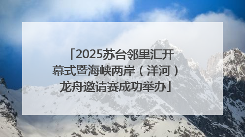 2025苏台邻里汇开幕式暨海峡两岸（洋河）龙舟邀请赛成功举办