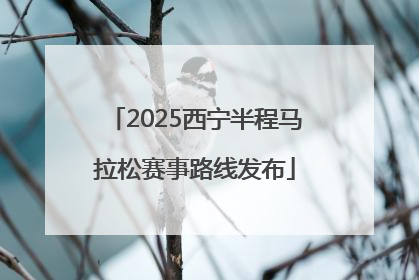 2025西宁半程马拉松赛事路线发布