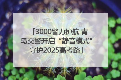 3000警力护航 青岛交警开启“静音模式”守护2025高考路