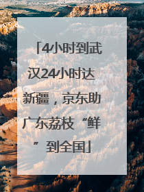 4小时到武汉24小时达新疆，京东助广东荔枝“鲜”到全国