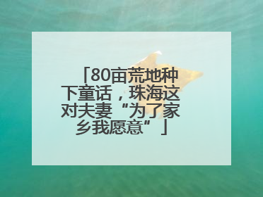 80亩荒地种下童话，珠海这对夫妻“为了家乡我愿意”