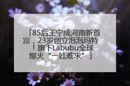 85后王宁成河南新首富，23岁创立泡泡玛特！旗下Labubu全球爆火“一娃难求”