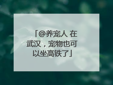 @养宠人 在武汉，宠物也可以坐高铁了
