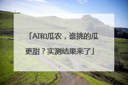 AI和瓜农，谁挑的瓜更甜？实测结果来了