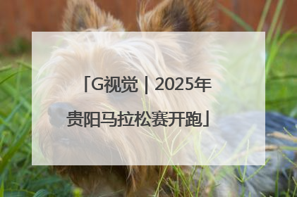 G视觉｜2025年贵阳马拉松赛开跑
