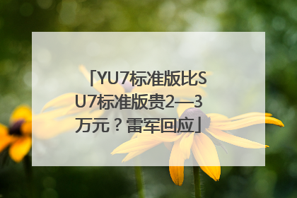 YU7标准版比SU7标准版贵2—3万元？雷军回应